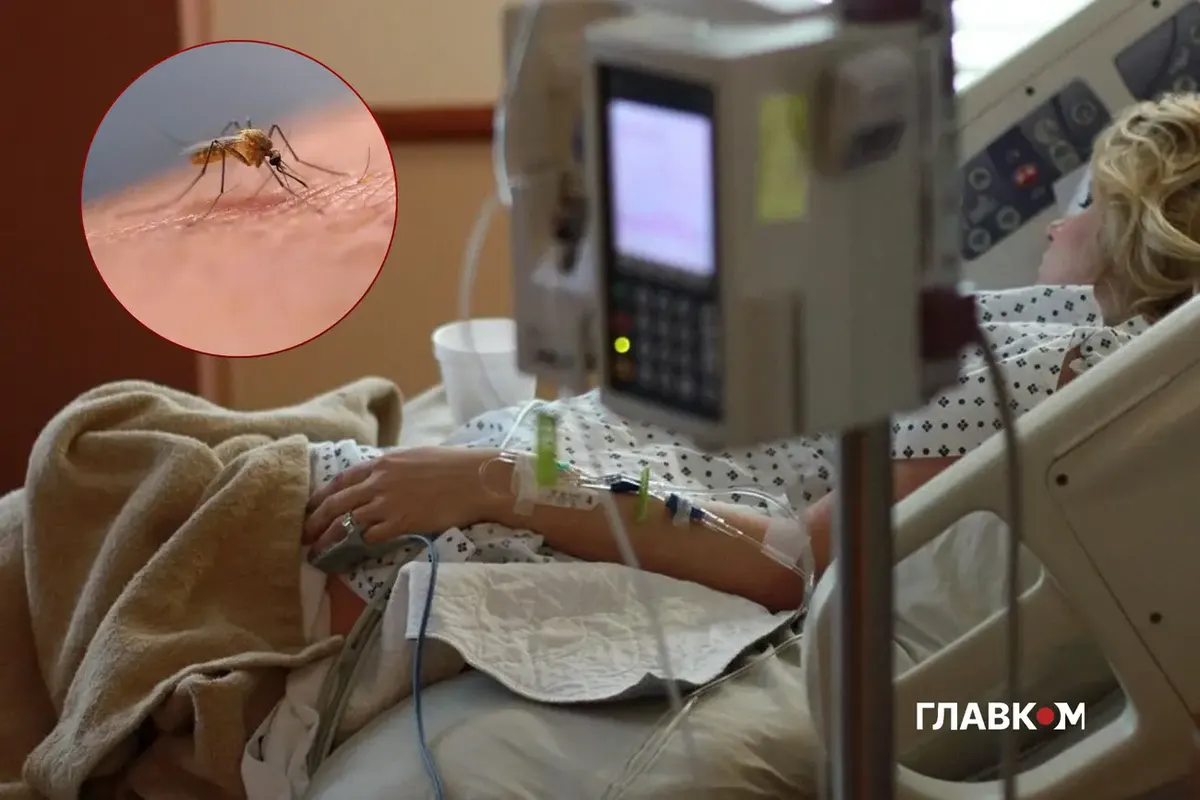 Аеропортова малярія у Франкфурті: шестеро заражених, один помер