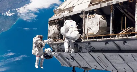 Мікрогравітація змінює роботу кишківника: нове дослідження NASA
