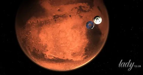 Ентомолог розгледів на знімках NASA з Марса «комах» та «рептилій»